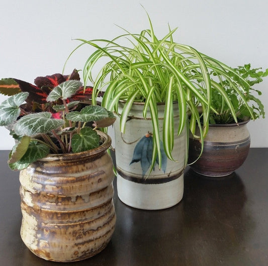 How To: Upcycle Your Old Plant Pots