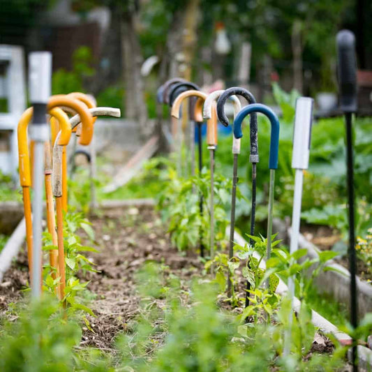 How To: Upcycling Ideas for The Garden