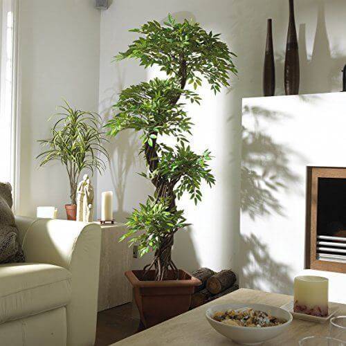 How To: Decorate Your Home with Artificial Plants