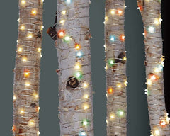 100 Silver Multi Outdoor Christmas Wire Lights