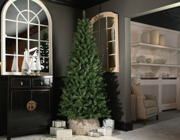 150cm Edisto Noble Fir Tree