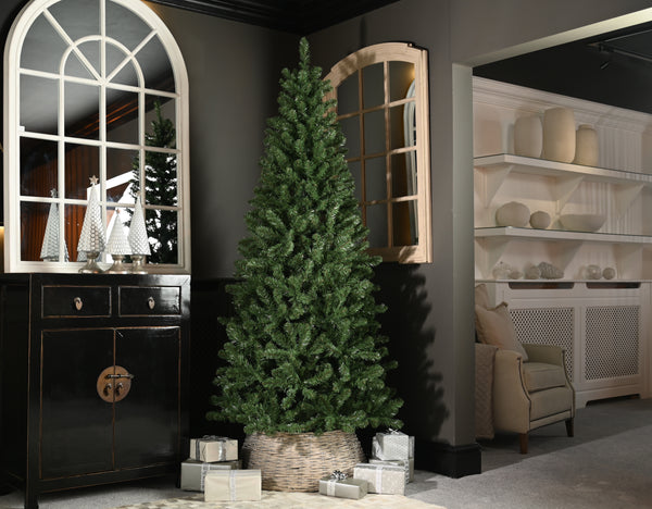 150cm Edisto Noble Fir Tree