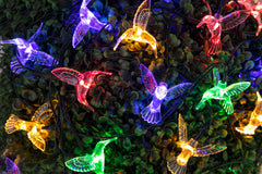 20 Hummingbird Solar String Lights