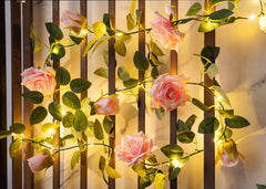 Rose String Lights
