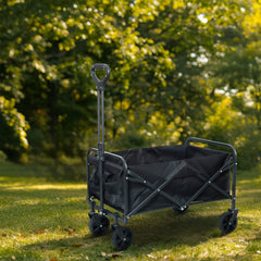 Folding Trolley Cart