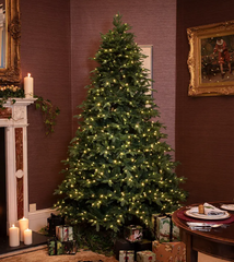 Portland Fir 7ft Black Forest Pre Lit Christmas Tree with 600 Lights