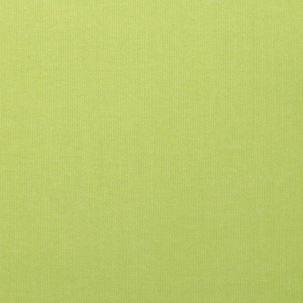 Fusion Plain Dye Filled Outdoor Cushion 43x43cm - Green