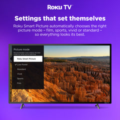 EKO ROKU 32 Inch Smart HD TV
