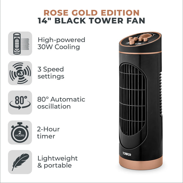 Tower Black and Rose Gold Fan