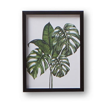 Cheese Plant Wall Art Black Frame 30X40cm