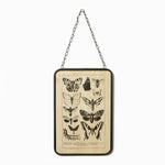 At Home Butterfly Hanging Plaque