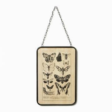 At Home Butterfly Hanging Plaque