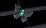 Outmore Butterfly String Lights